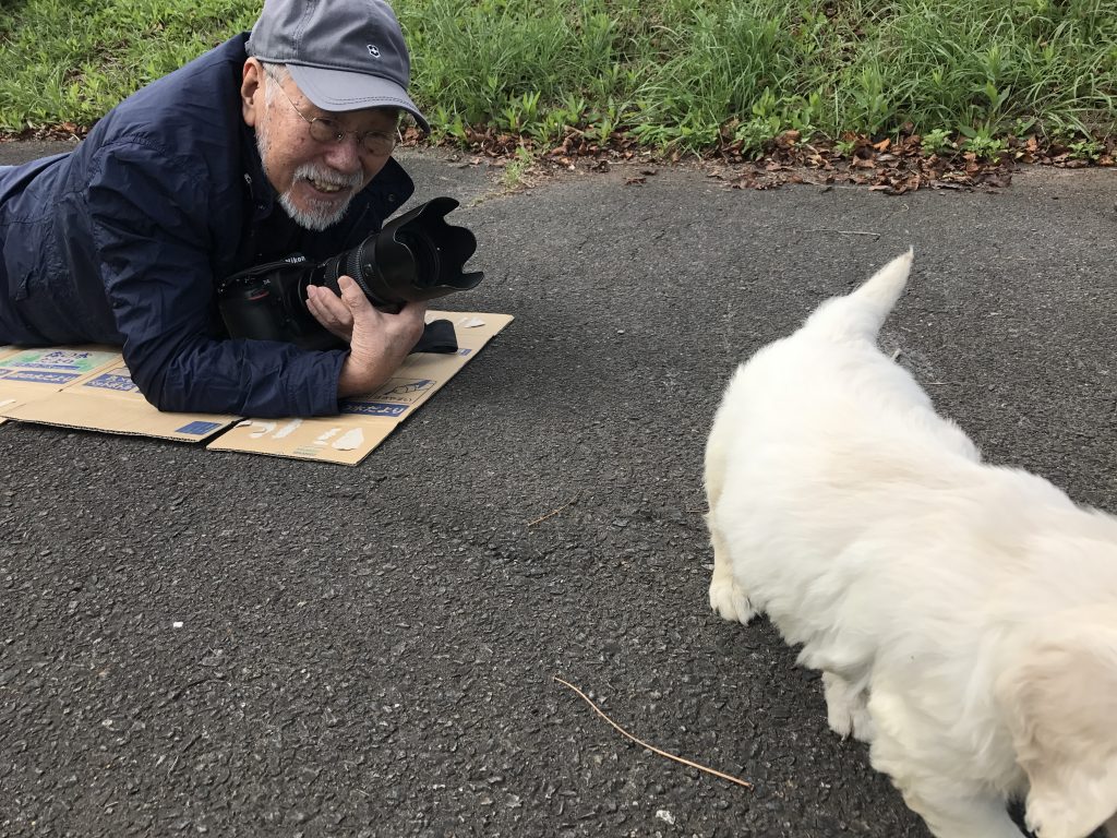 尻尾かわいい