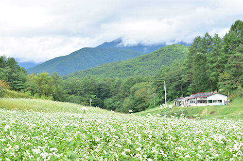 思い出の場所