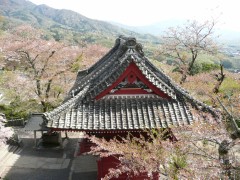 女子トイレから撮影