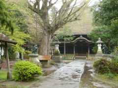 朝から冷たい雨ふりの一日に