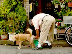 見ないでちょうだいだワン