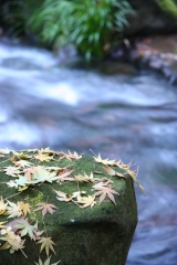 箱島湧水