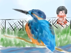 翡翠（ヒスイ）と書いてカワセミ