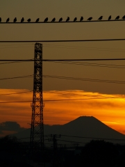 富士と夕焼け